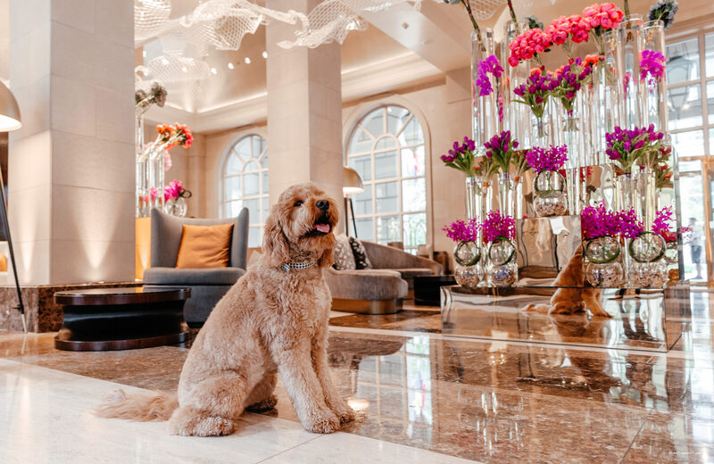 Фото Hotel Crescent Court