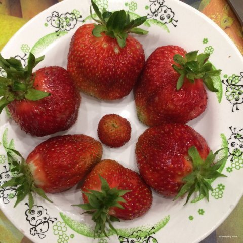 Фото У озера