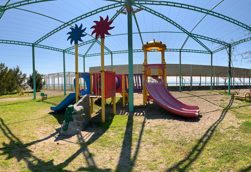 Фото Самшитовая роща