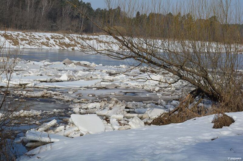 Фото У родника