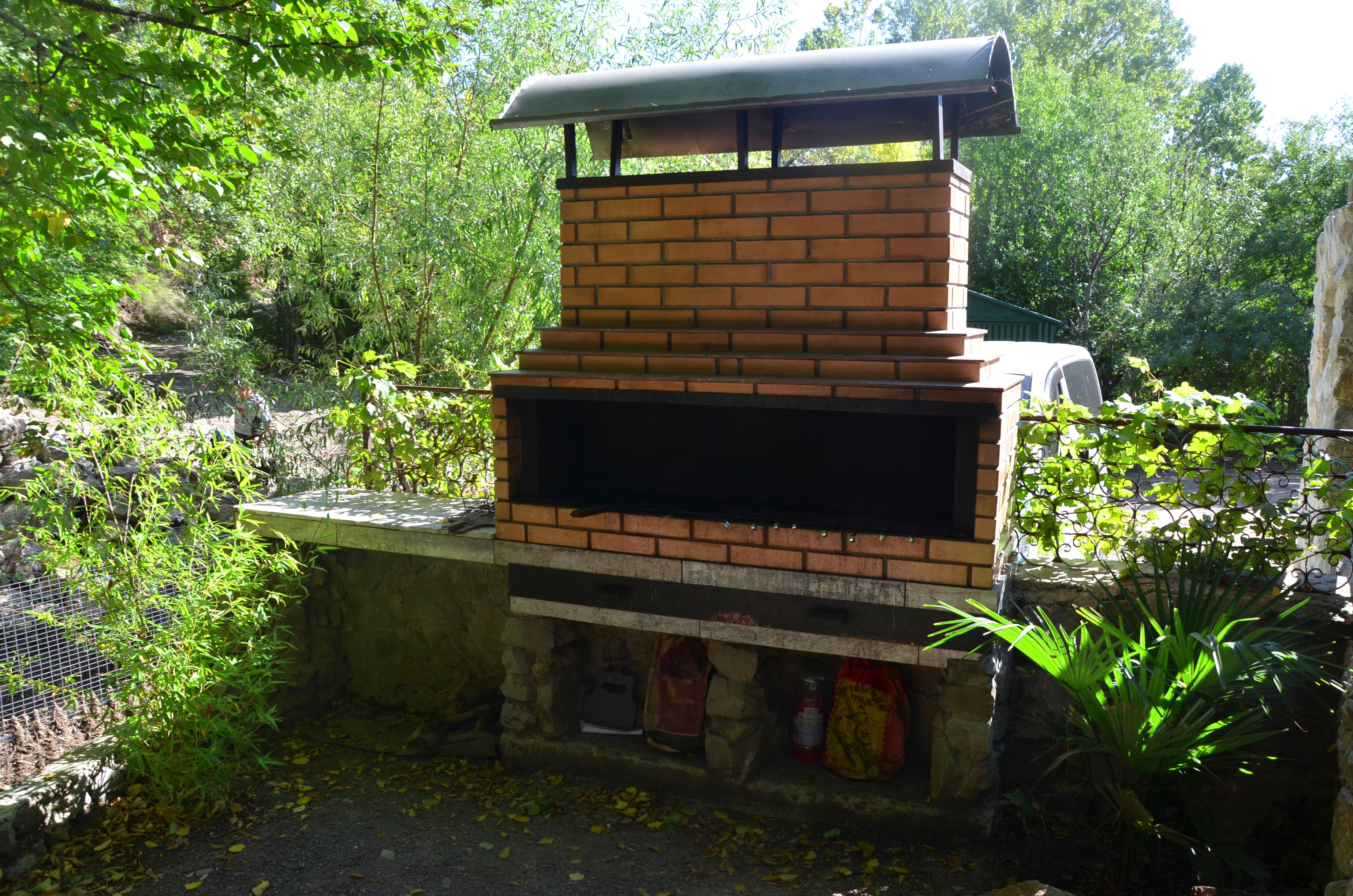 Фото Лесная Сказка