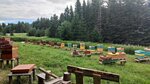 Pasekapaliok (ulitsa Karla Marksa, 50А), honey and beekeeping