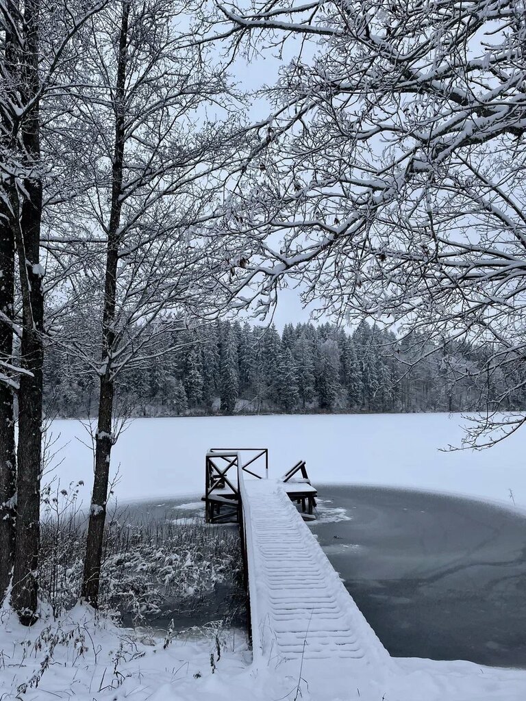 Rural tourism Усадьба Рыбачья, Vitebsk District, photo