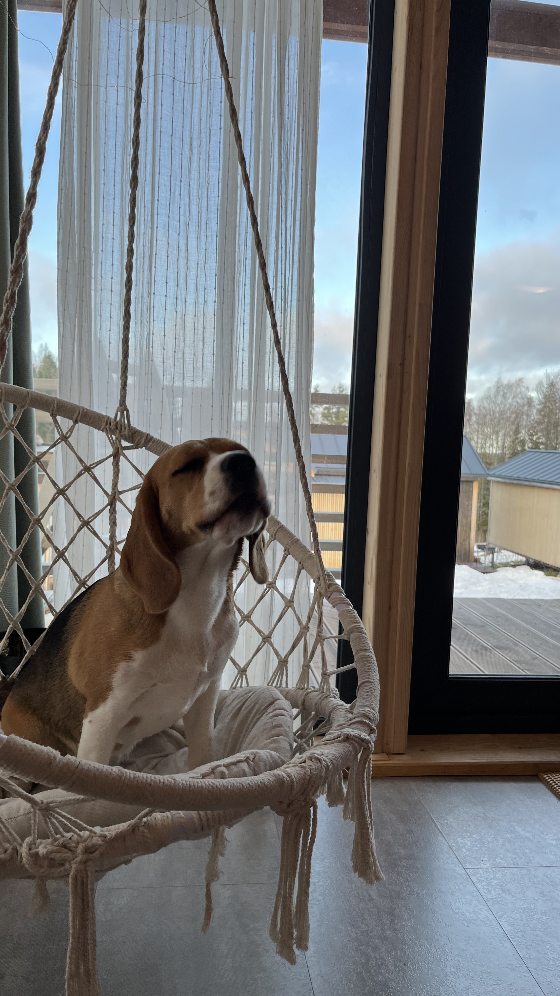 Фото Домик у Игоры