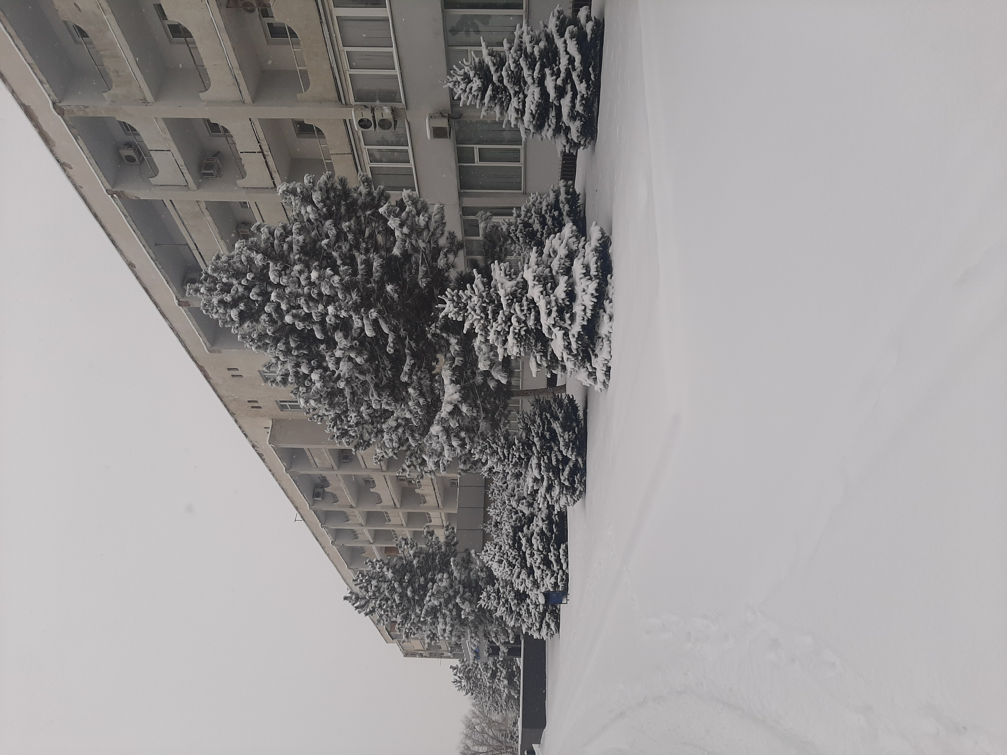 Фото Гостиница Аэропорт