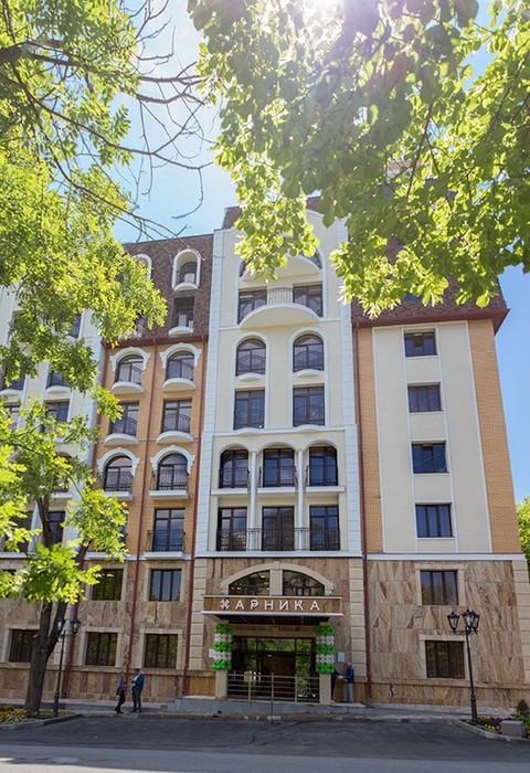 Фото Арника