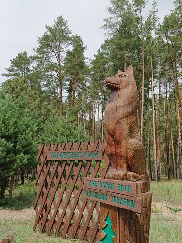 Жанровая скульптура Тамбовский волк, Тамбовская область, фото