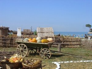 Звезда Тамани