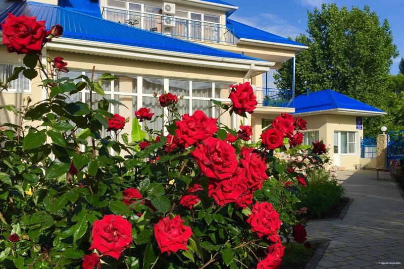 Фото Серенити