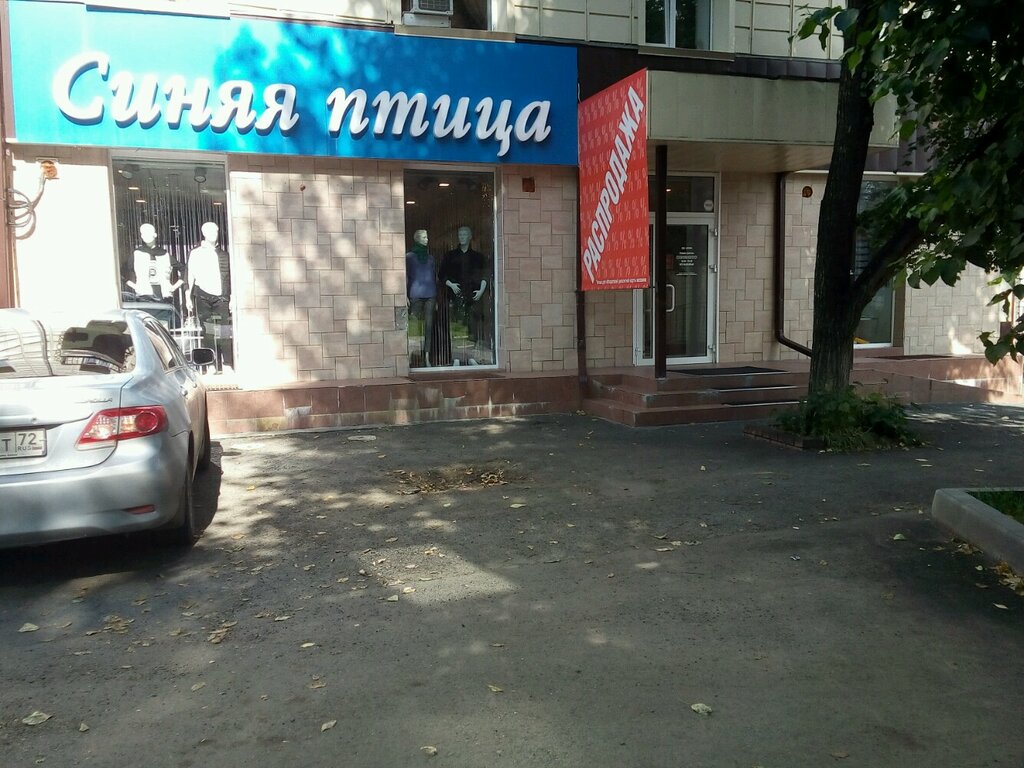 Синяя Птица Магазин Тюмень Официальный Сайт