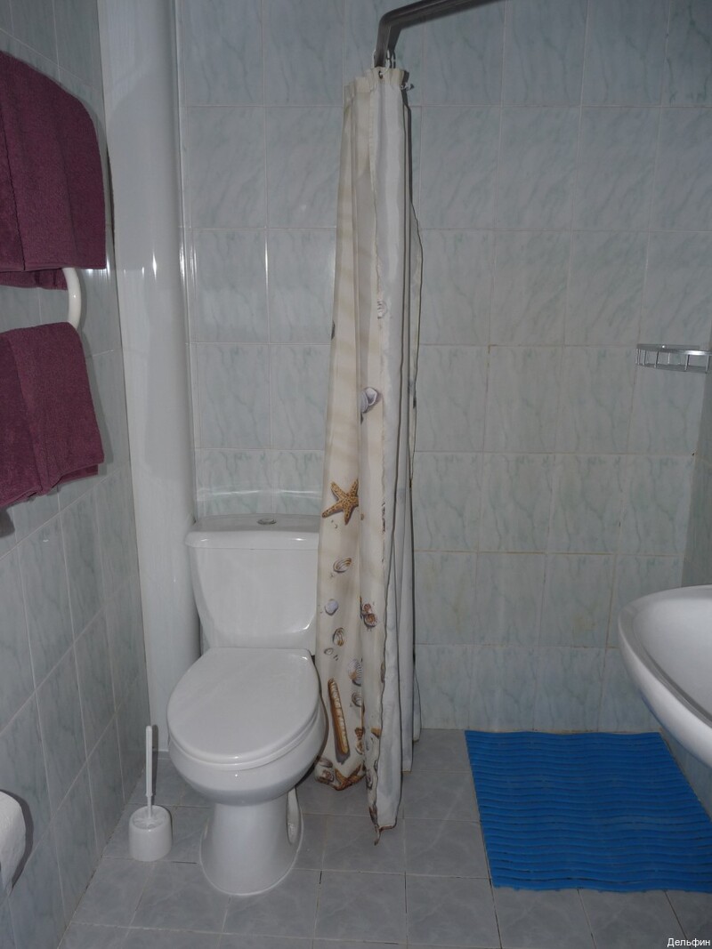 Фото Дельфин