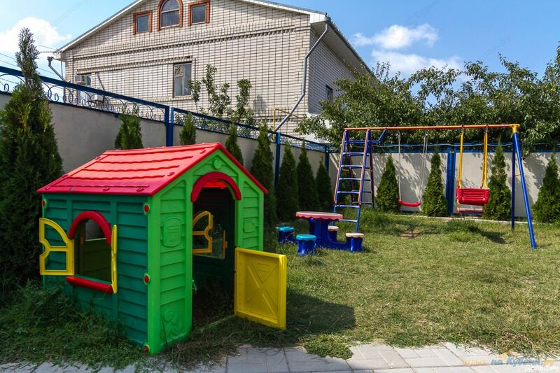 Фото Дельфин