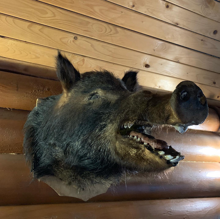 Фото Алимова Балка