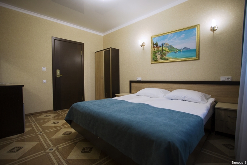 Фото Венера-1