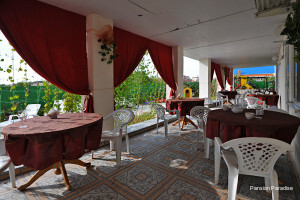 Фото Парадиз