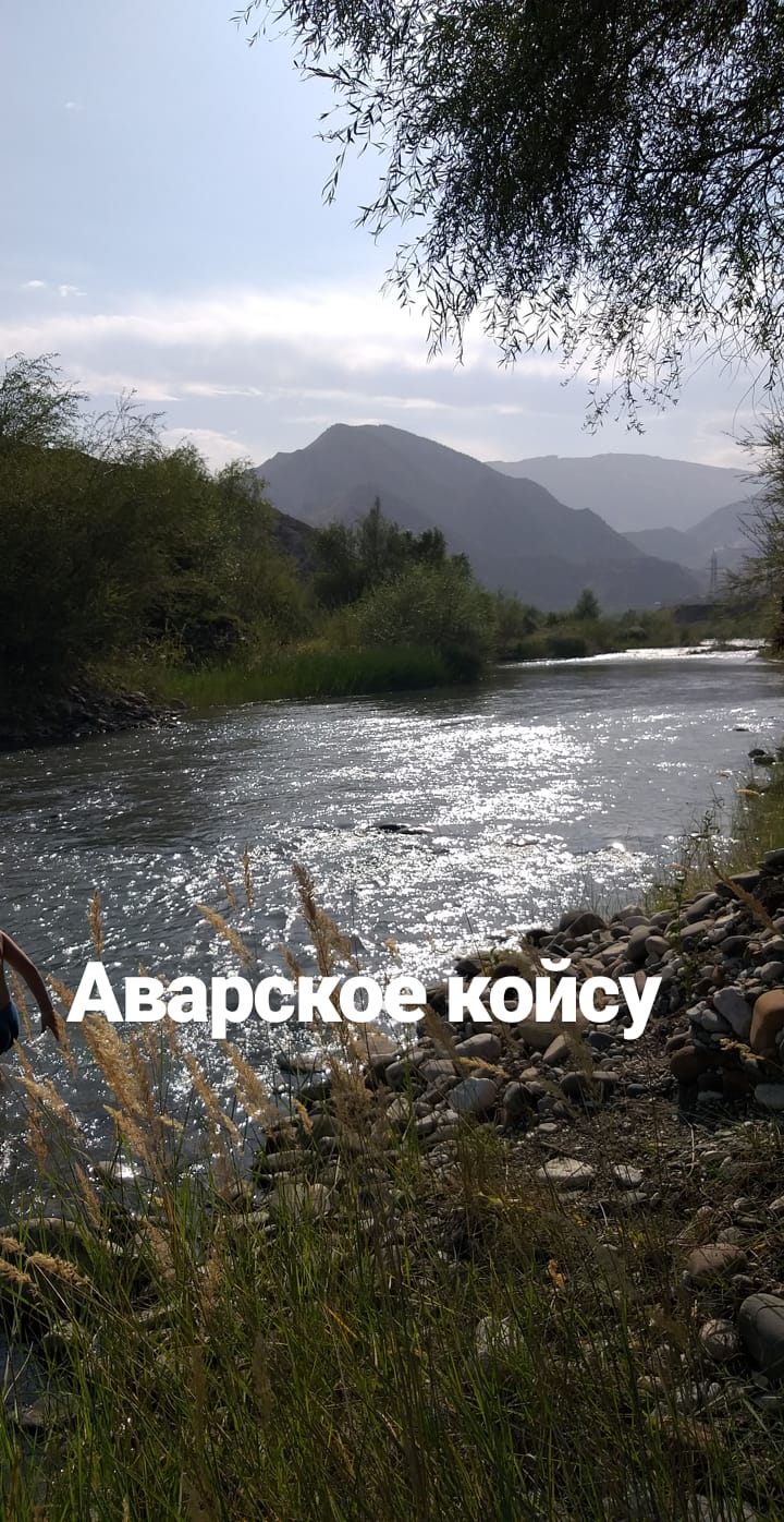 Фото У Зайнаб