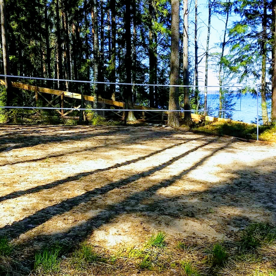 Фото Черная лиса