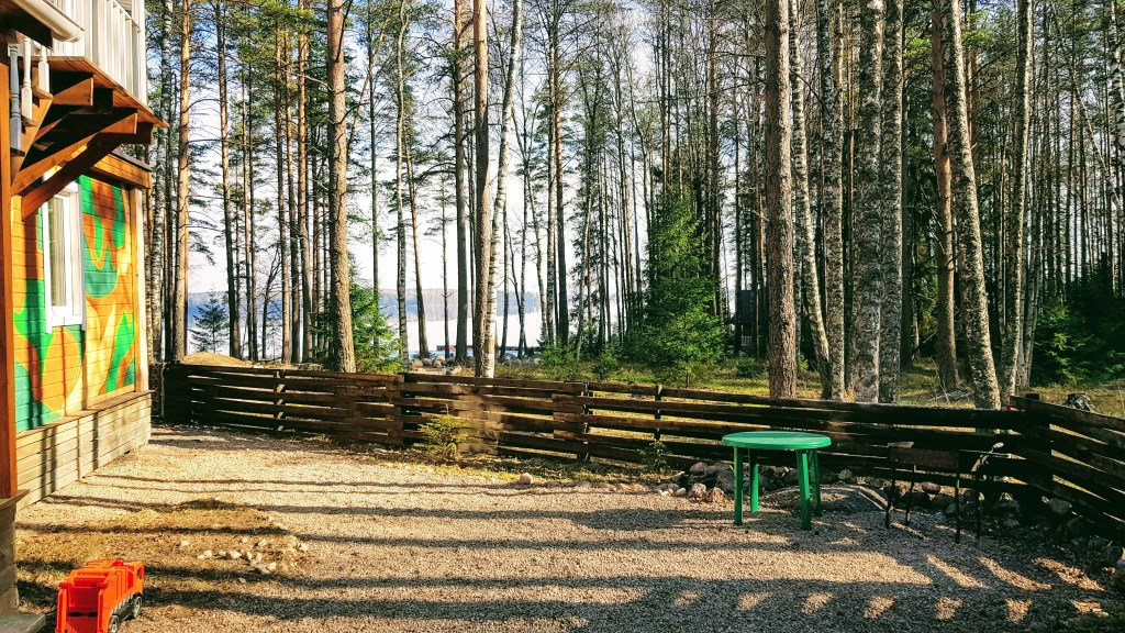 Фото Черная лиса