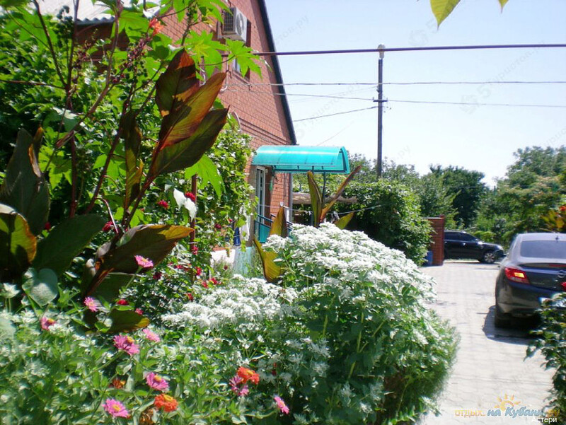 Фото Астери