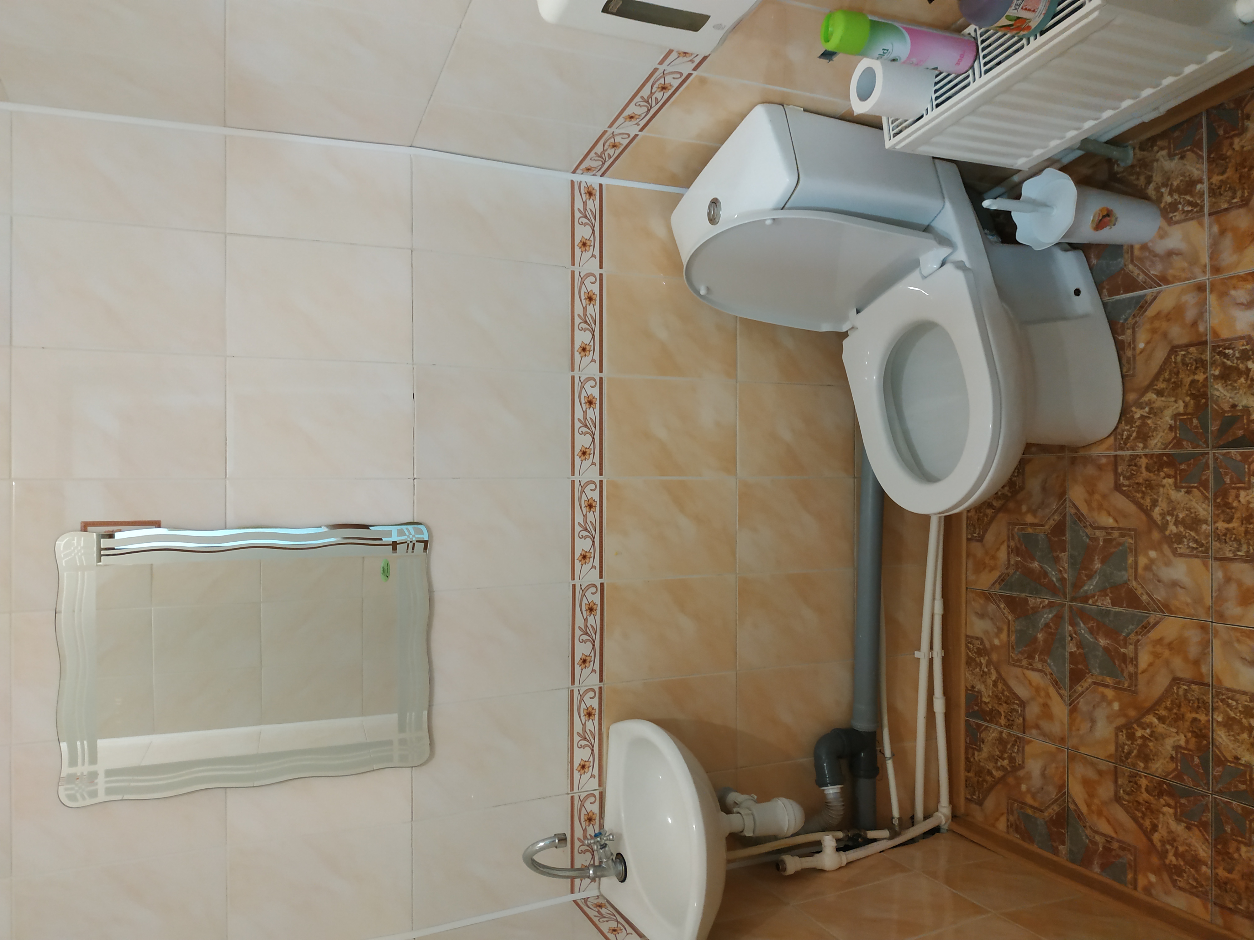 Фото Тополя