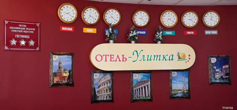 Фото Улитка