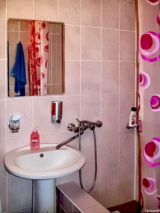 Фото Гвоздика