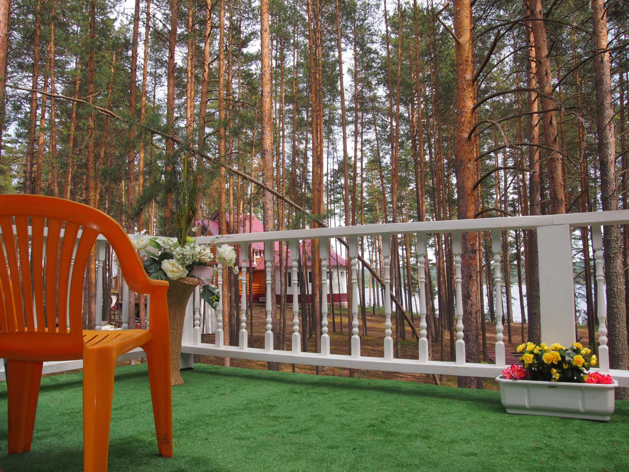 Фото Дивная усадьба