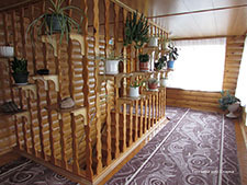 Фото Сказка