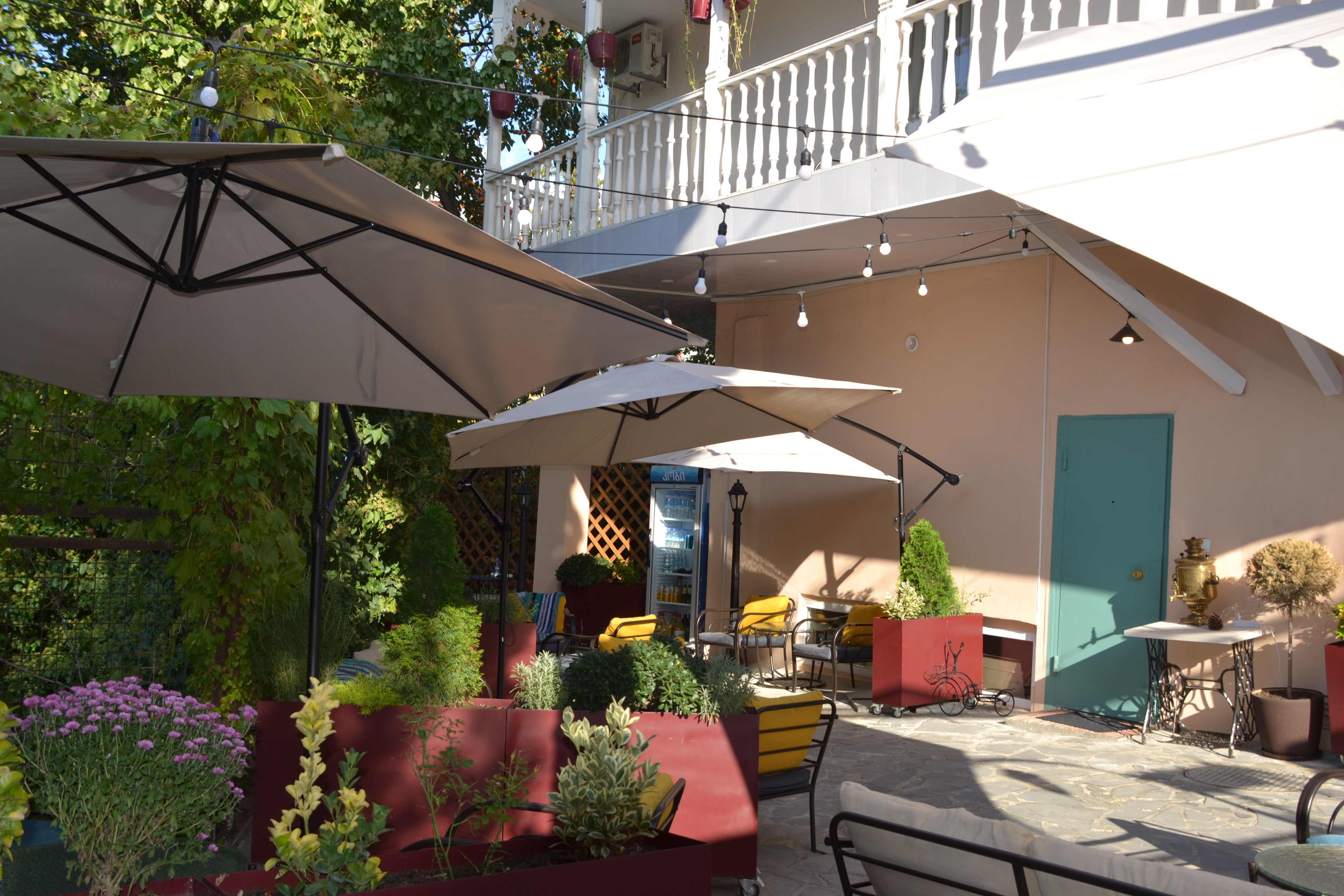 Фото Гвино Минда