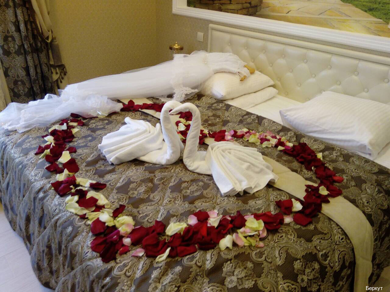 Фото Беркут