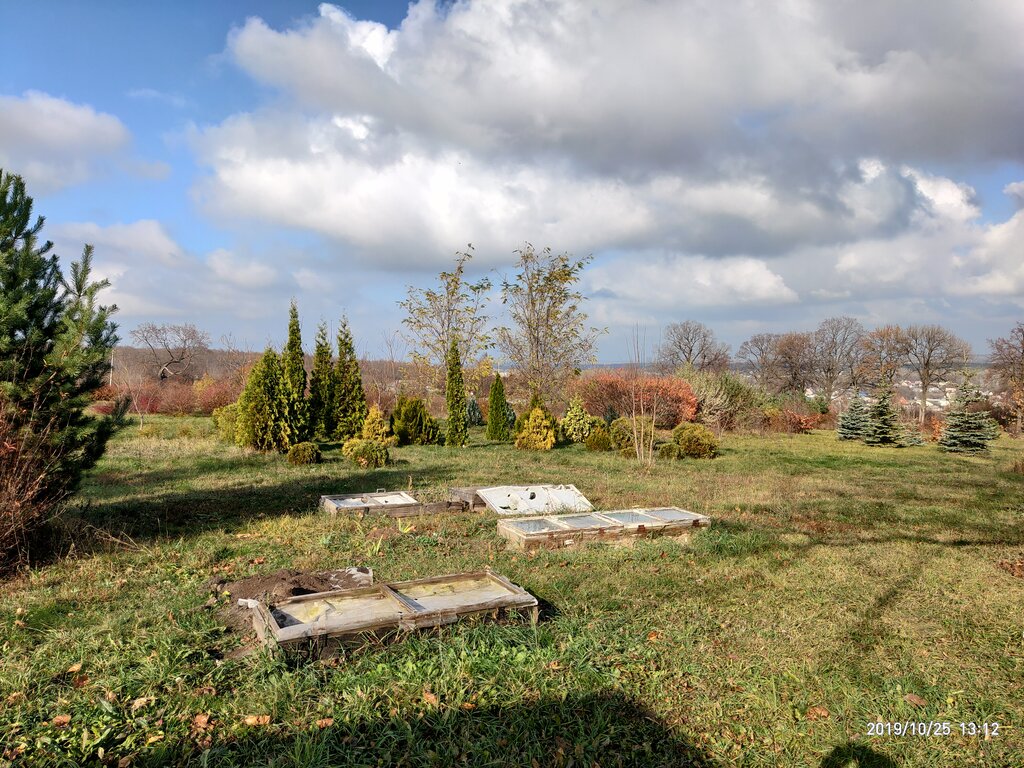 Parque de cultura y ocio Ботанический сад Старооскольского медицинского колледжа, , foto