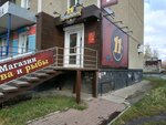 11 Protsentov (ulitsa Chicherina, 31), cervecería