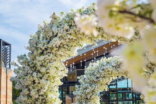 Фото Mulia Resort