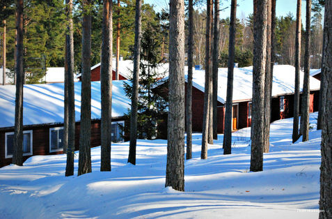 Фото Hotell Moskogen