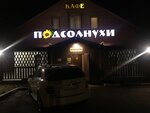 Подсолнухи (derevnya Dubinino, 58) ، مقهى