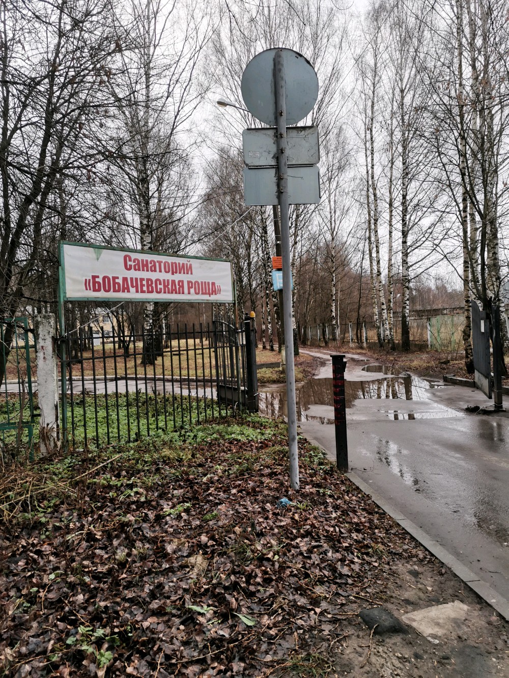 Фото Бобачёвская роща