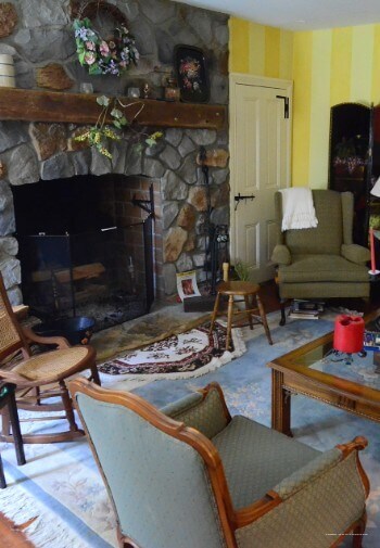 Фото Wild Wisteria