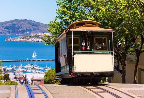 Фото Hotel Drisco