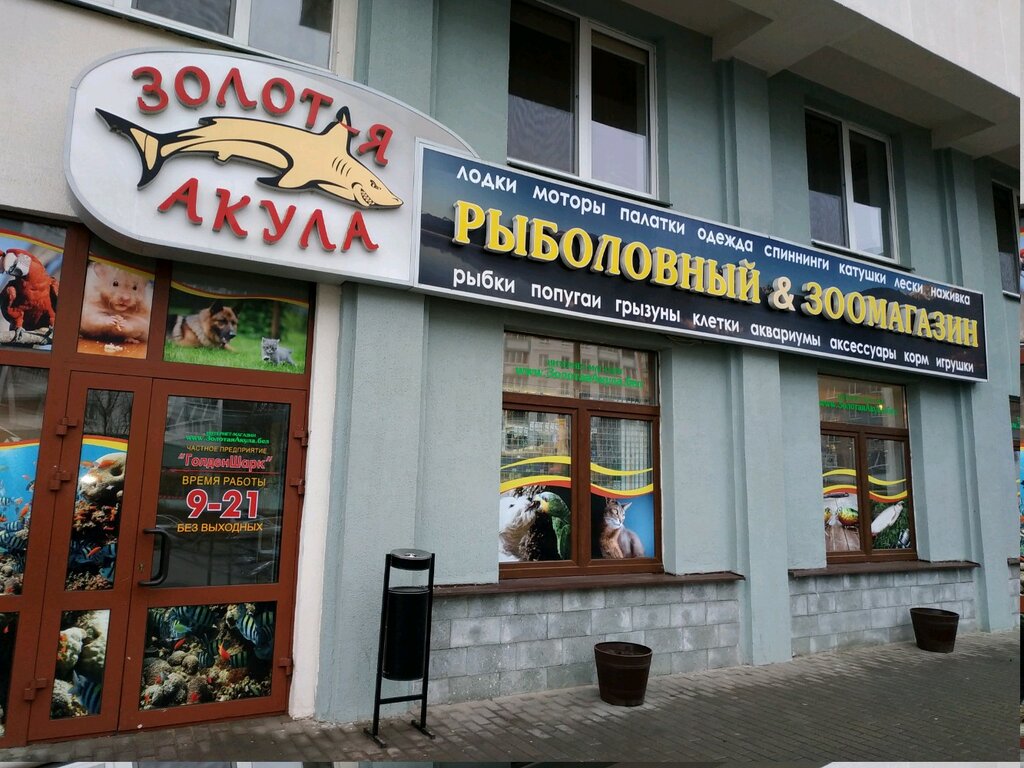 Магазин Золотая Акула