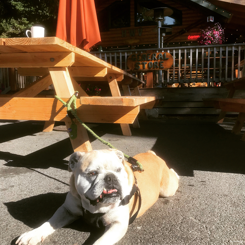 Фото Borrego Valley Inn