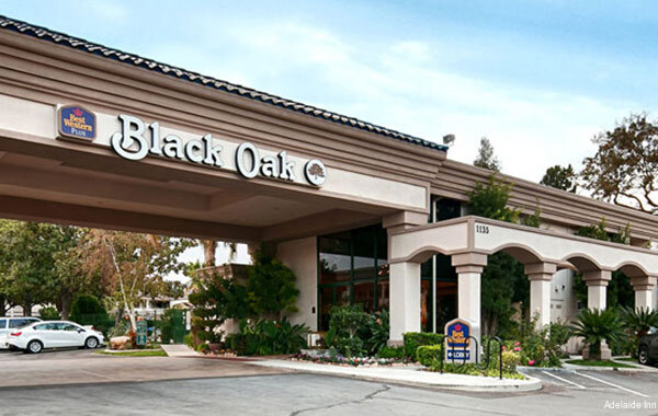 Фото Adelaide Inn