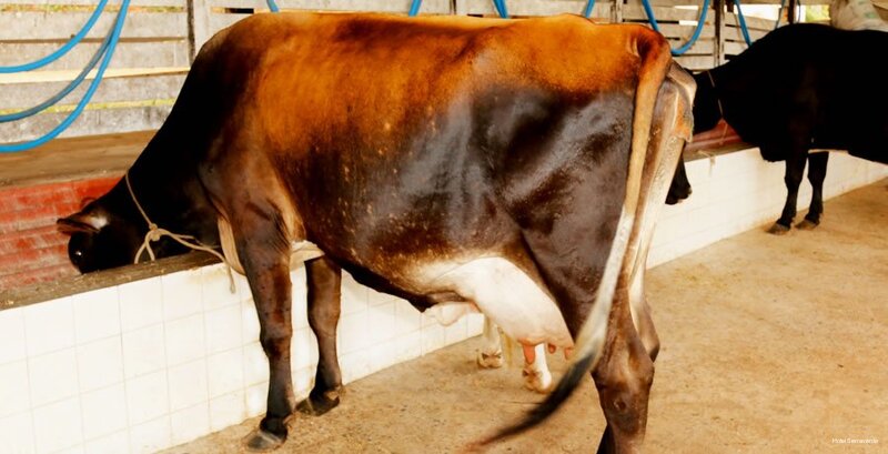 Фото Hotel Serraverde