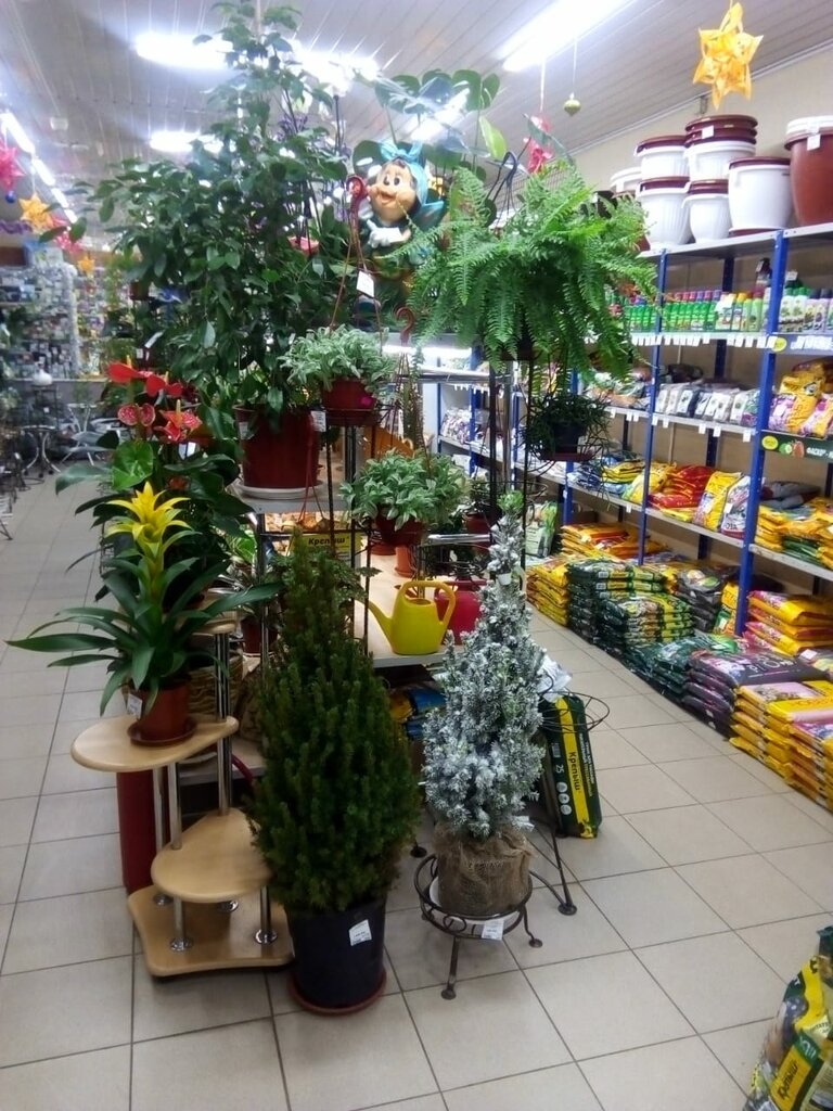 Магазин Флора Часы Работы