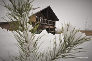 Фото Агроусадьба Павлова