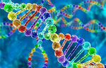 Dna Test (A.G. Stakhanova Street, 4), expertise