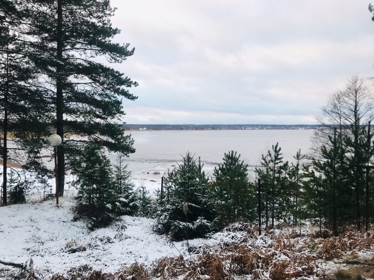 Фото Макслахти