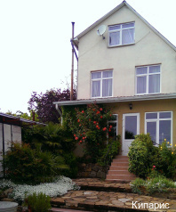 Фото Кипарис