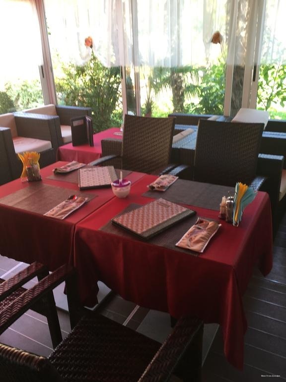 Фото Дельфин