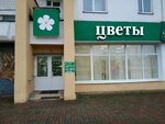 Городские цветы (просп. Победы, 2), магазин цветов в Витебске