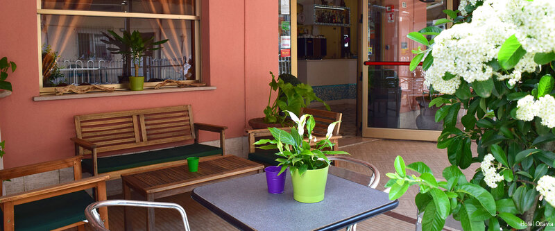 Фото Hotel Ottavia